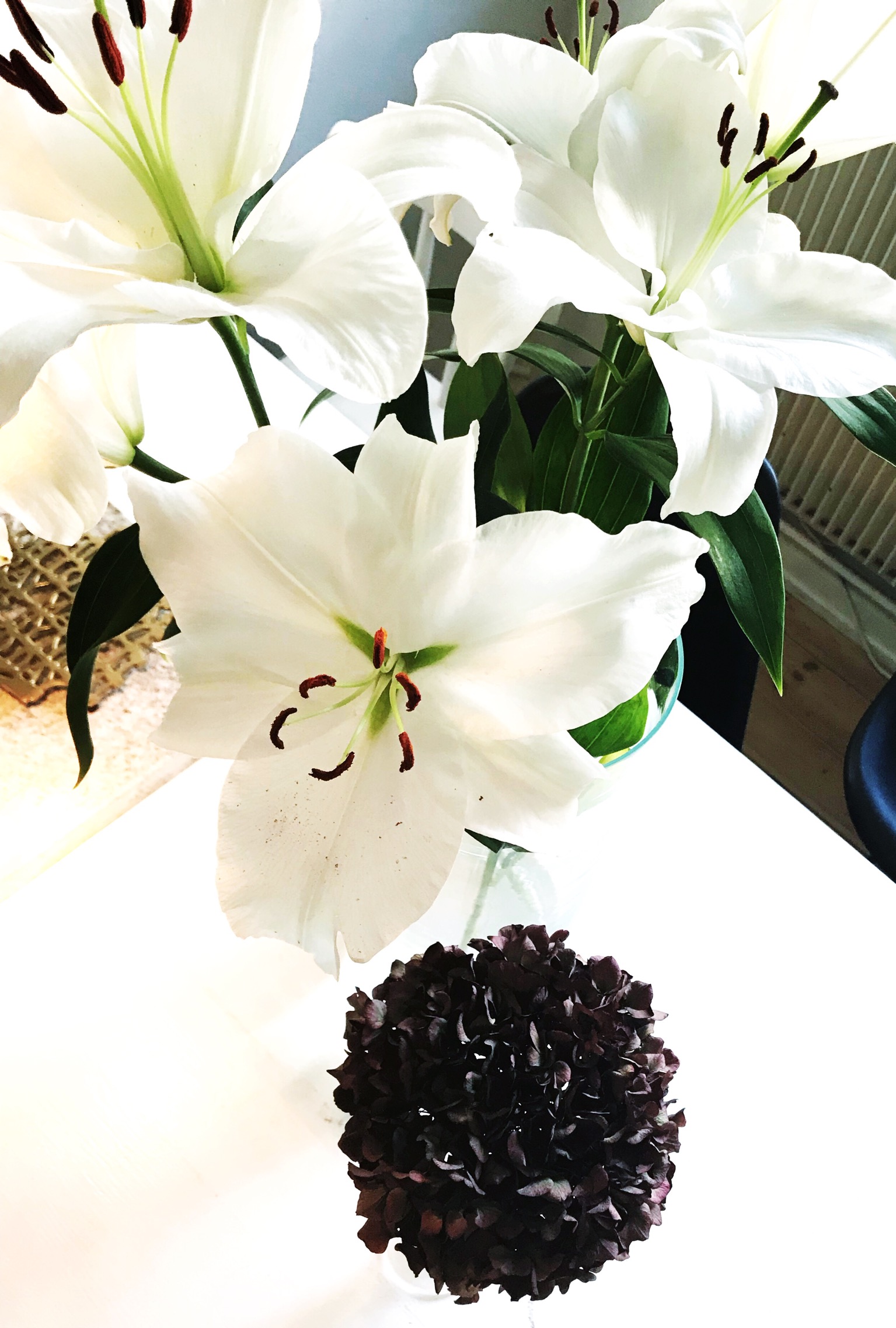 vita liljor