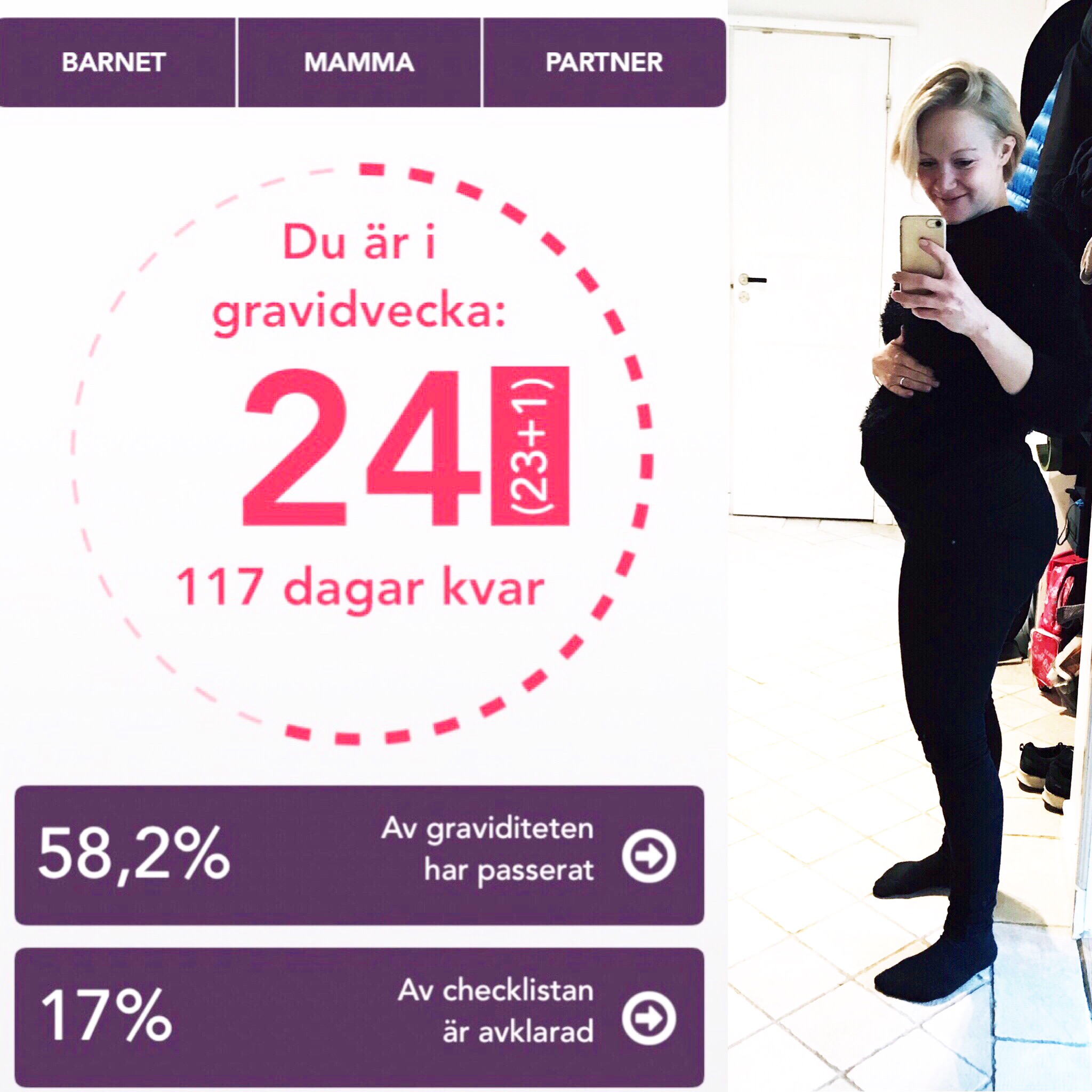 gravid vecka 24