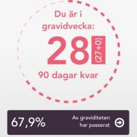 gravid vecka 28