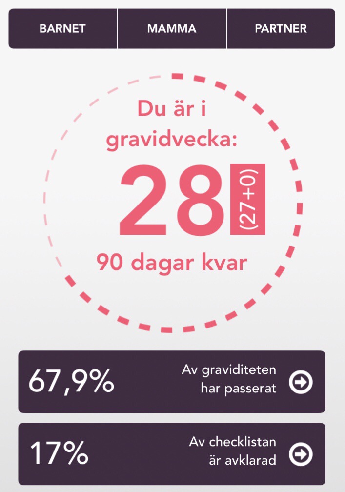 gravid vecka 28