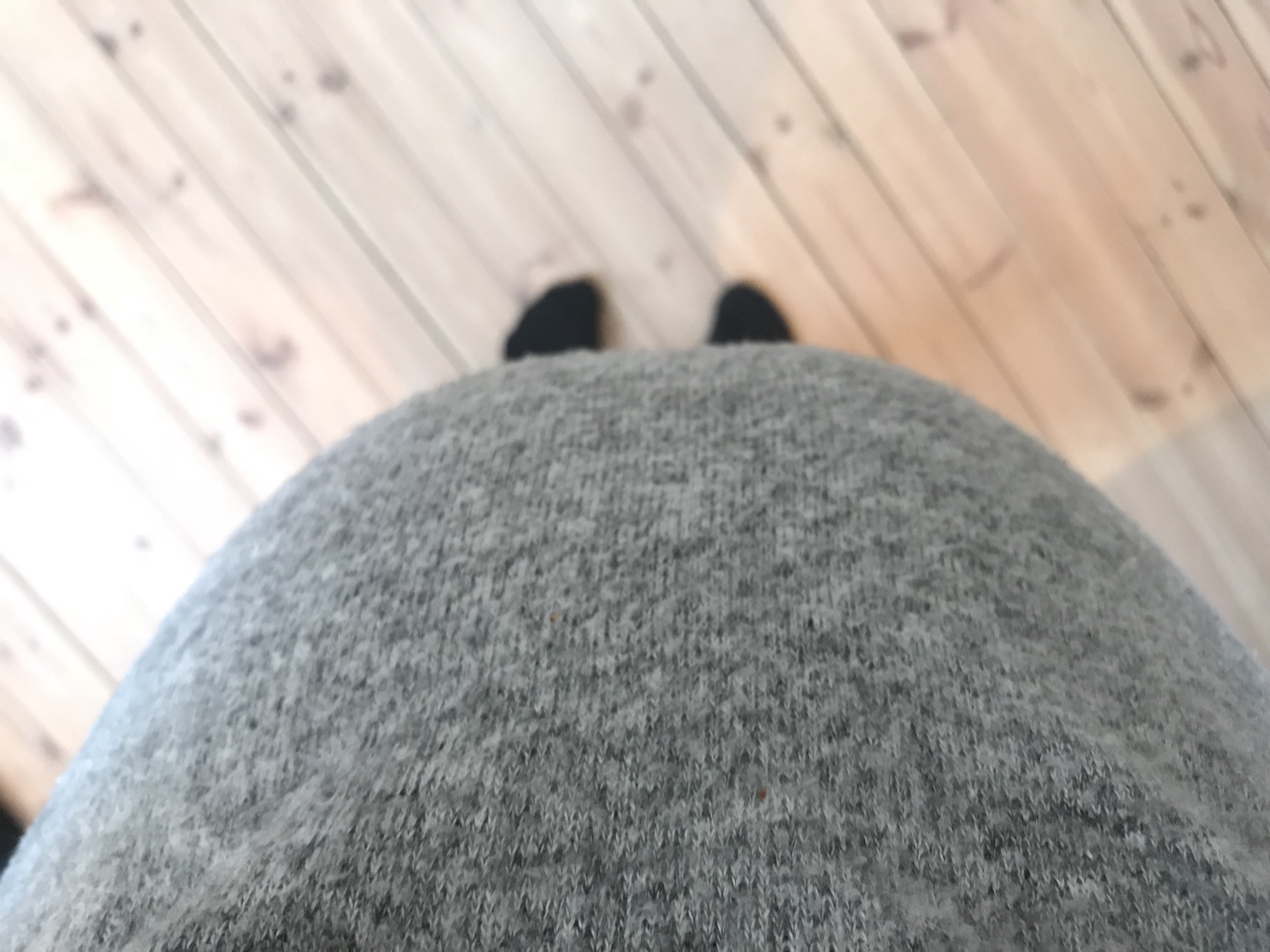 gravid vecka för vecka