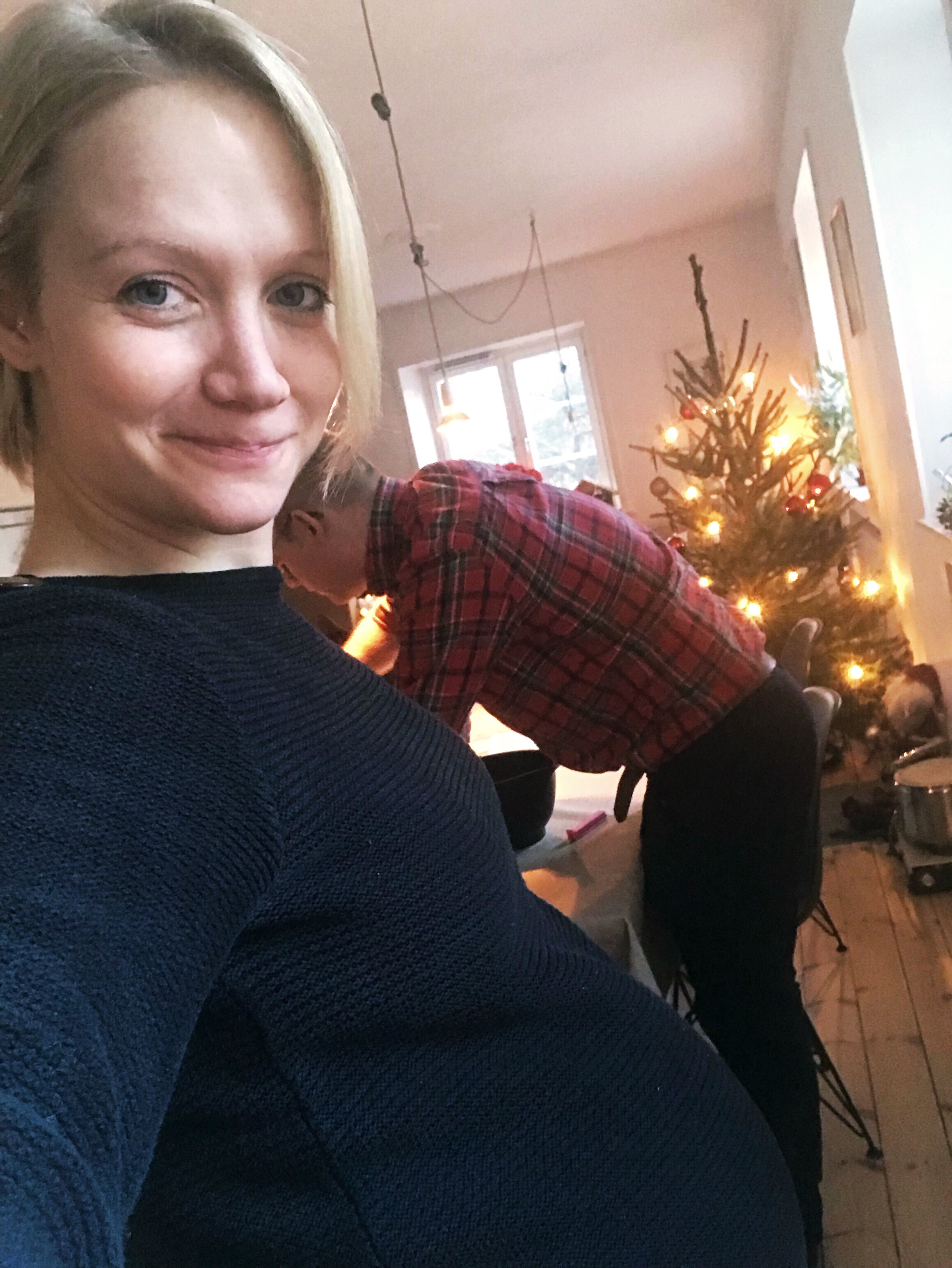 gravid