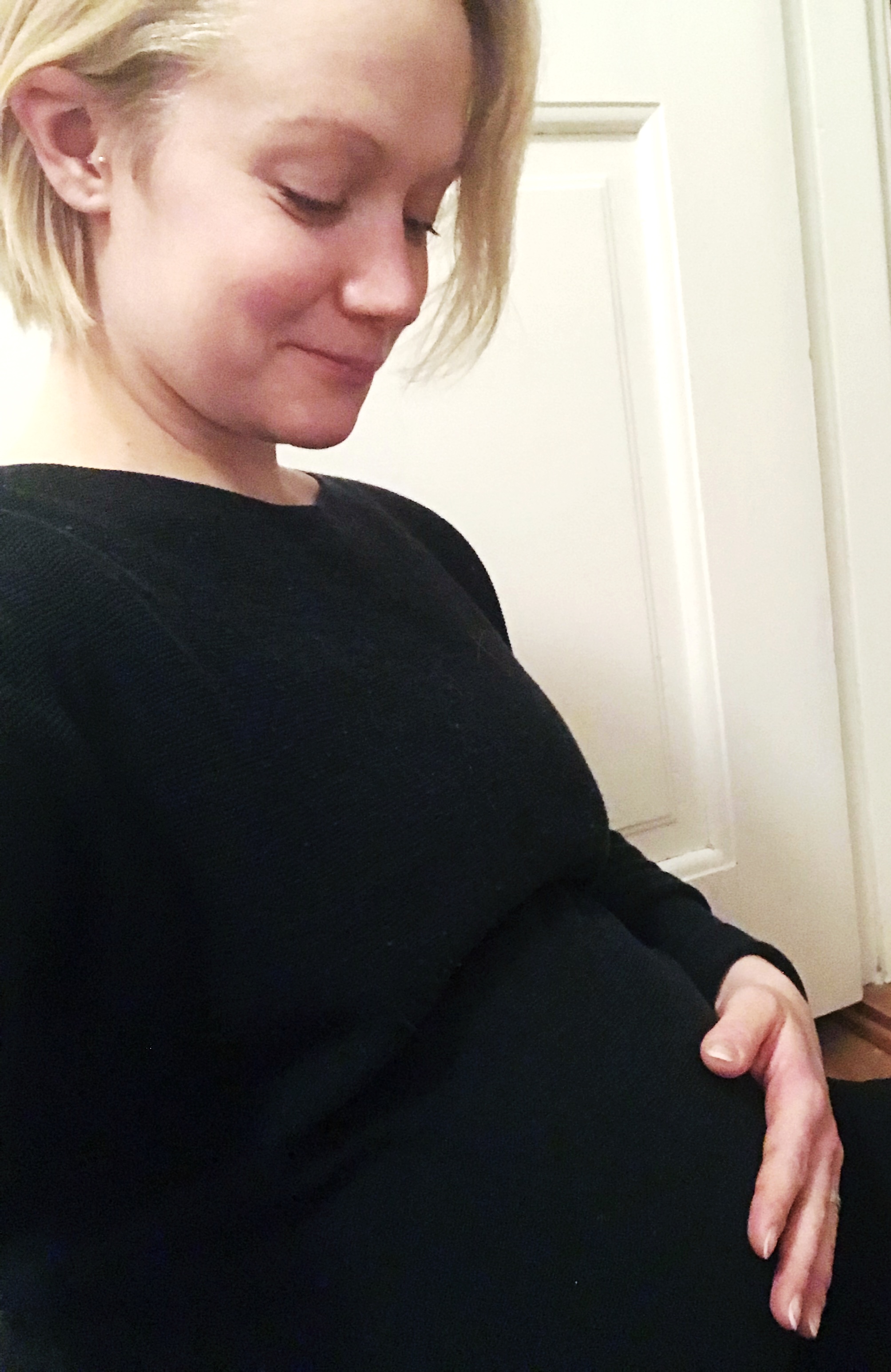 gravid