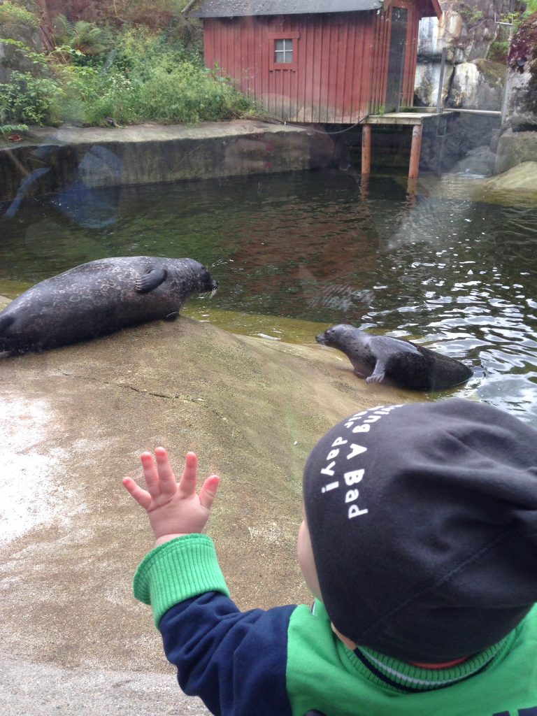 Skansen