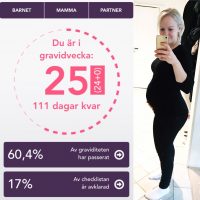 Gravid vecka 25 – Längtan efter att boa